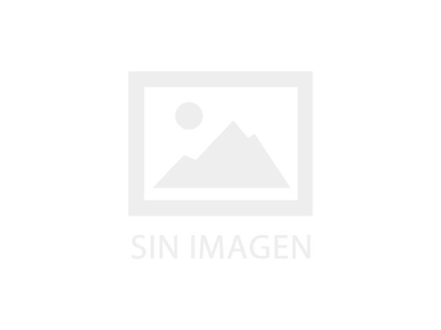 Saneamientos Nores